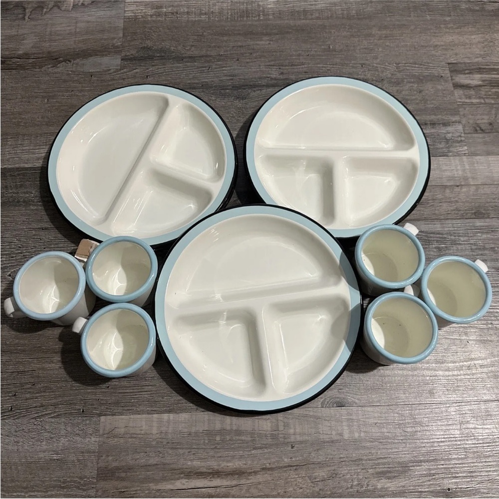 Hearth and Hand with Magnolia divided porcelain enameled plates set of 12